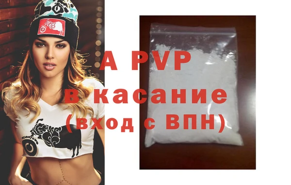 стаф Сафоново