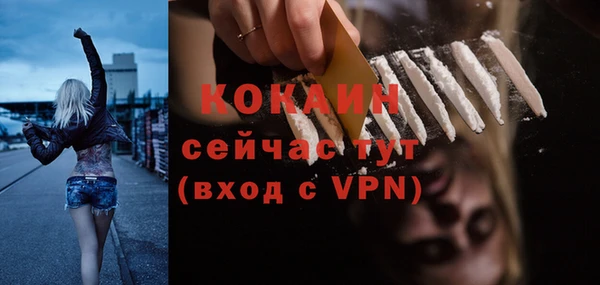стаф Сафоново