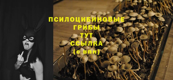 гашишное масло Сатка