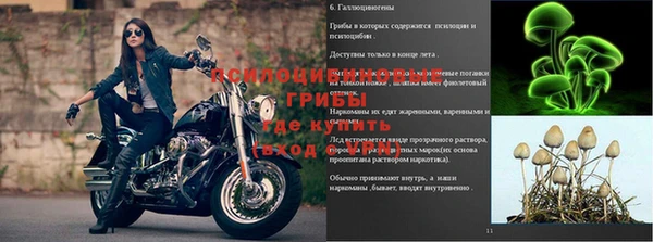 гашишное масло Сатка